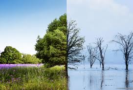 The Impact of Climate Change: A Threat to Future Generations